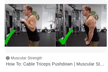Triceps Pressdown